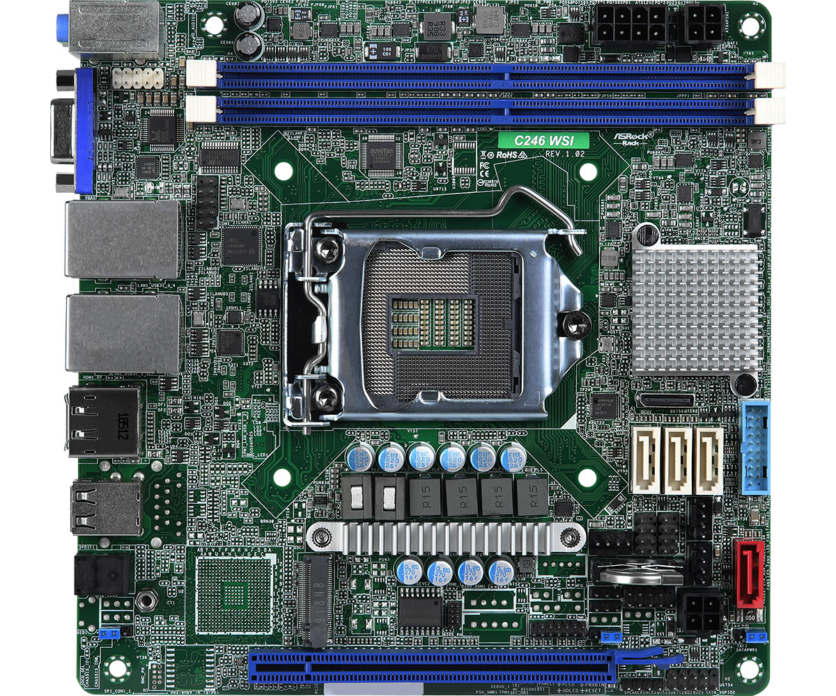 C246%20WSI-1(L).jpg